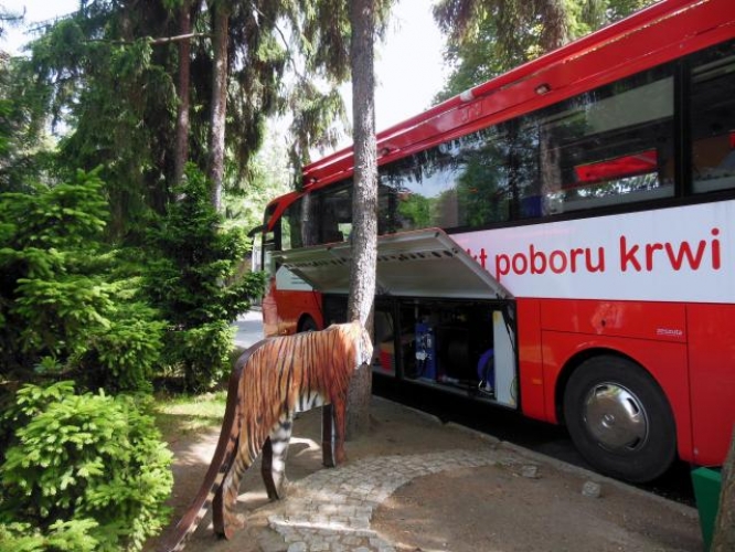Wakacyjne Akcje w ZOO