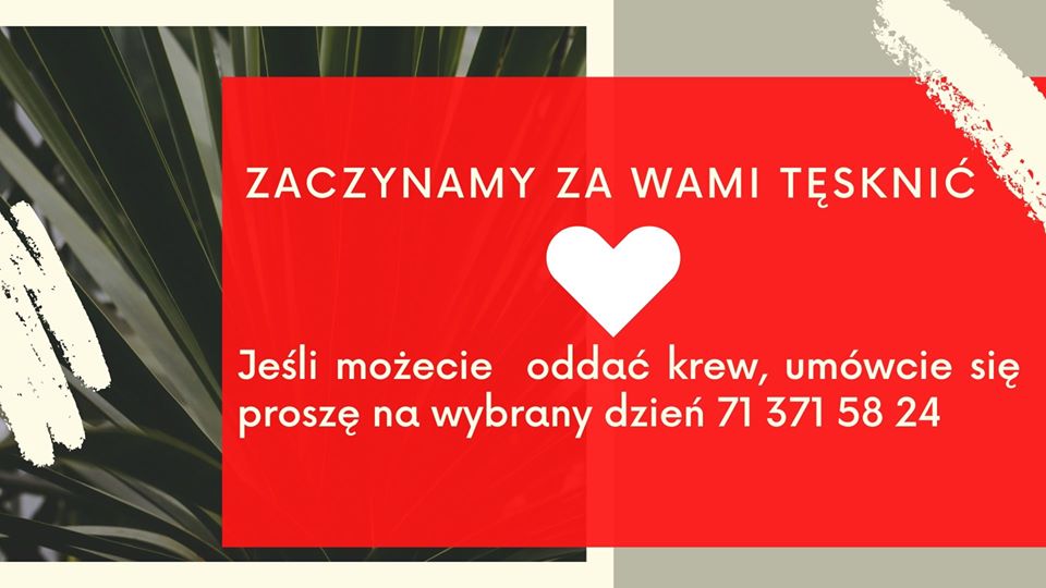 Zaplanuj kiedy możesz oddać krew