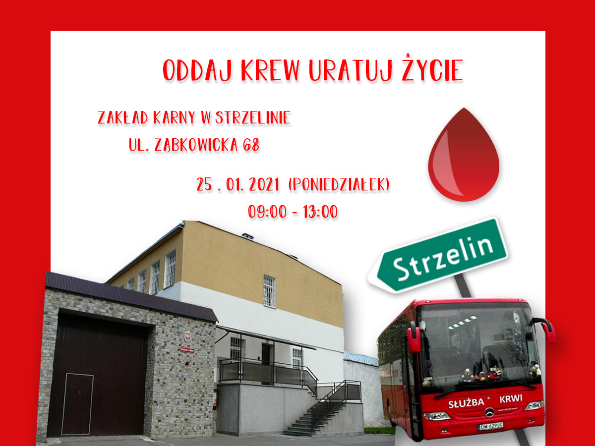 Akcja w Strzelinie
