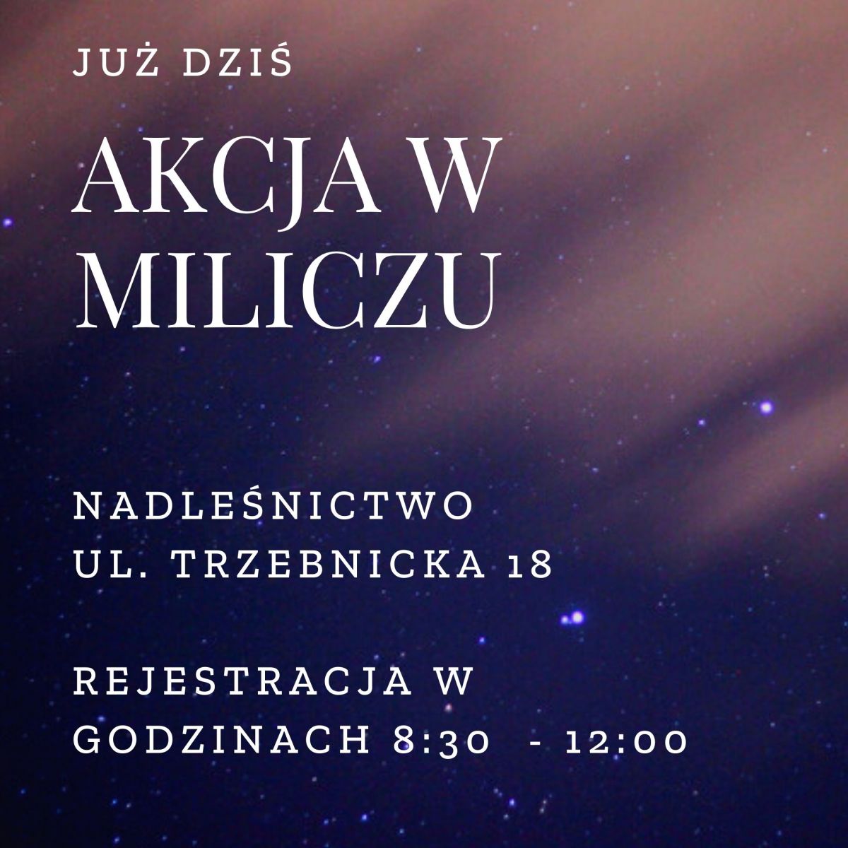 Akcja w Miliczu