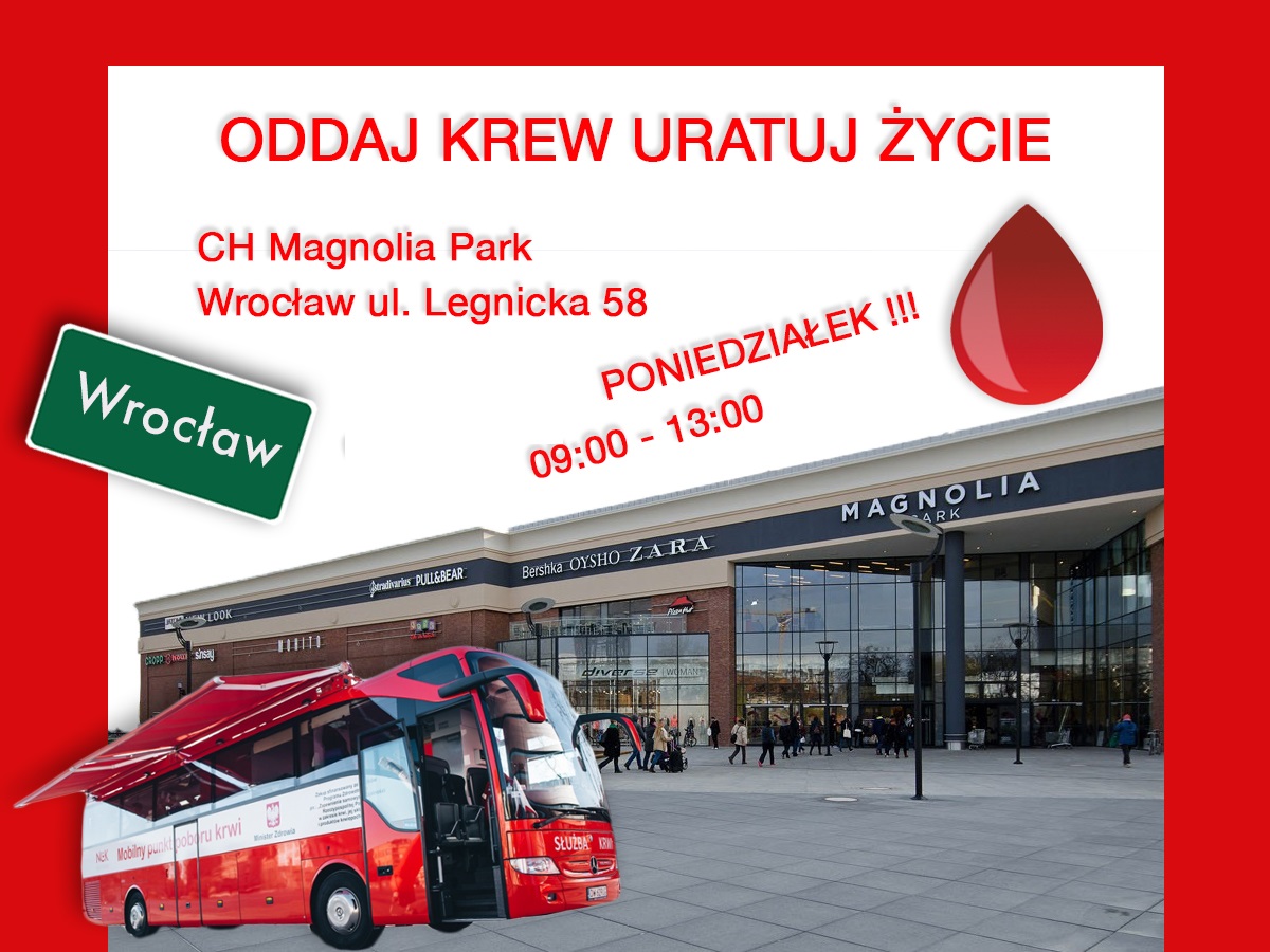 Dziś (poniedziałek) czekamy na Was w Magnolii