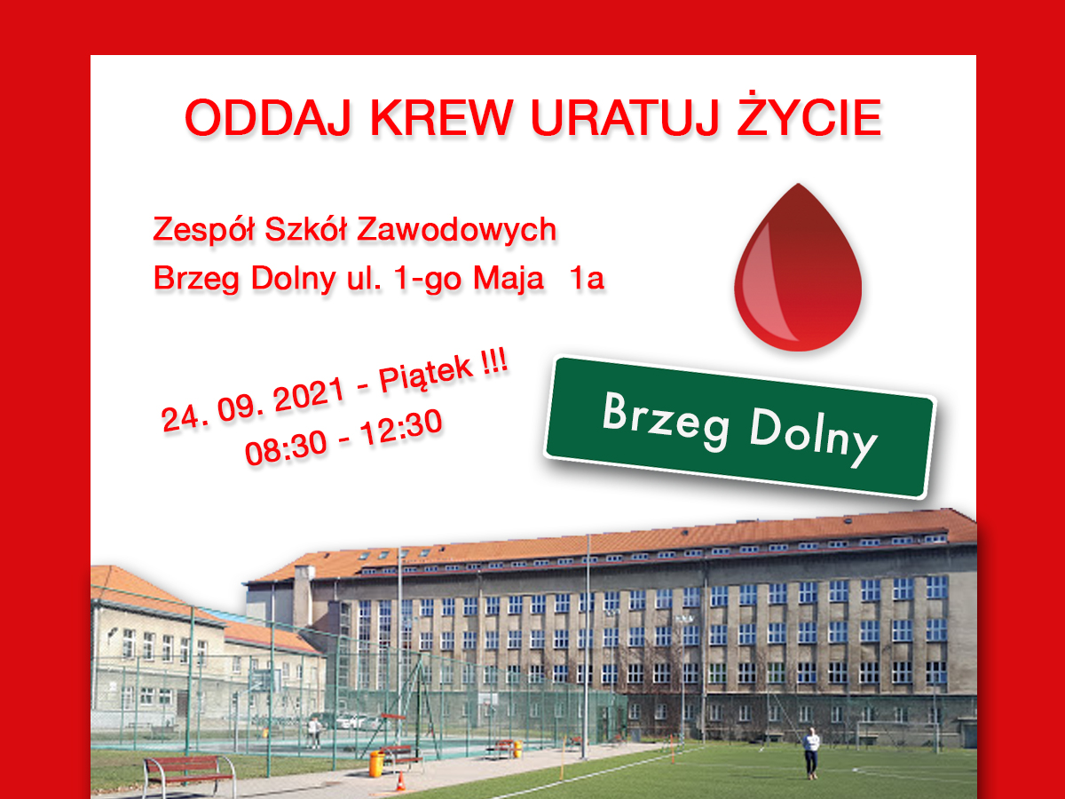 Brzeg Dolny