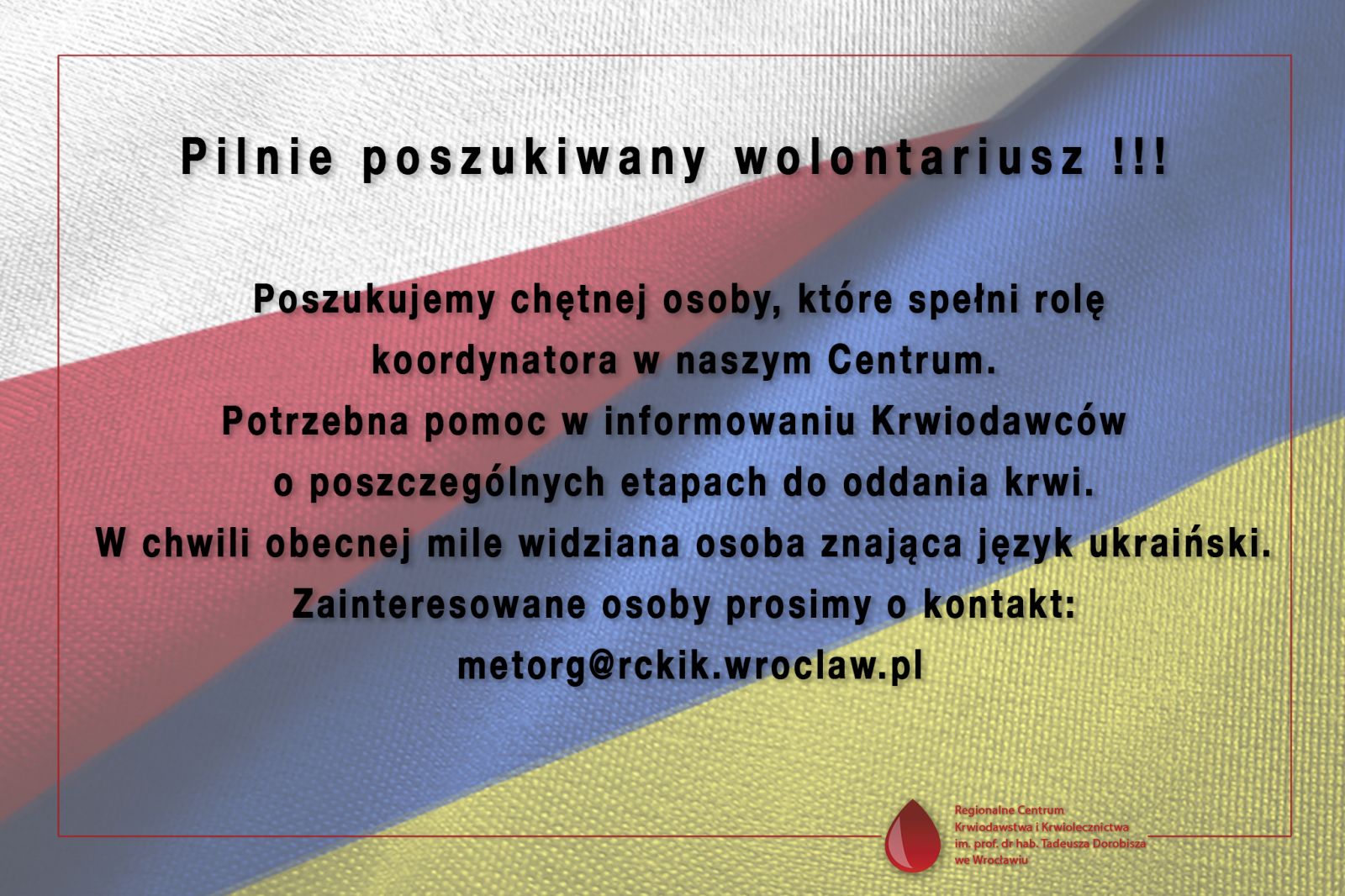 Pilnie poszukiwany wolontariusz