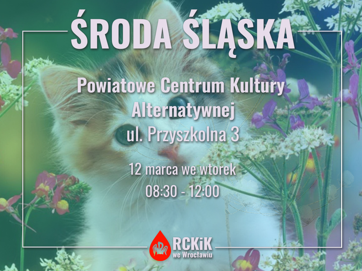 12 marca będziemy na akcji w Środzie Śląskiej