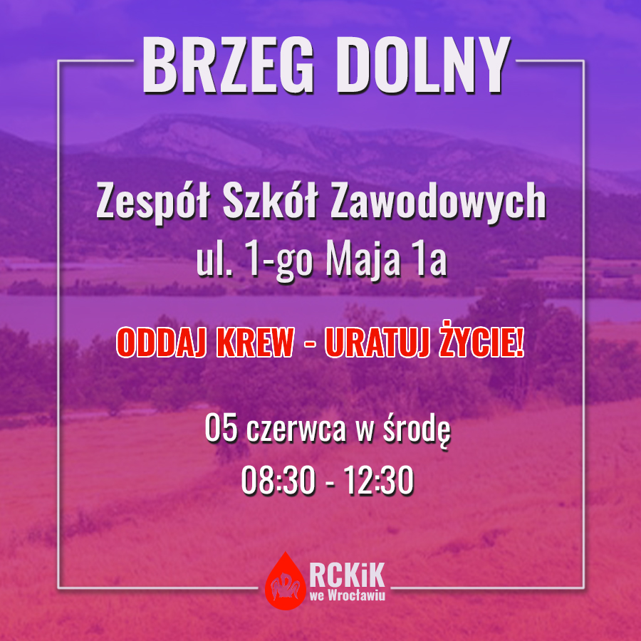 Akcja w Brzegu Dolnym