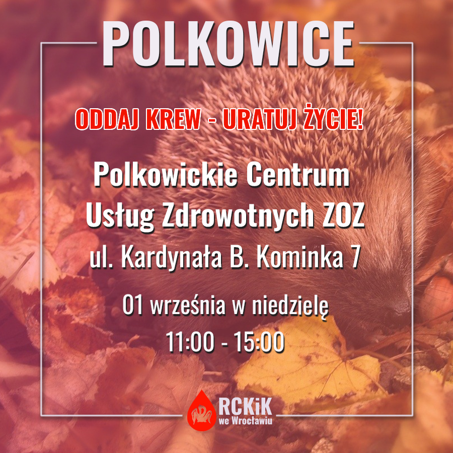 Akcja w Polkowicach
