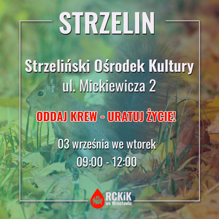 Akcja krwiodawstwa w Strzelinie - 3.09.2024 r.