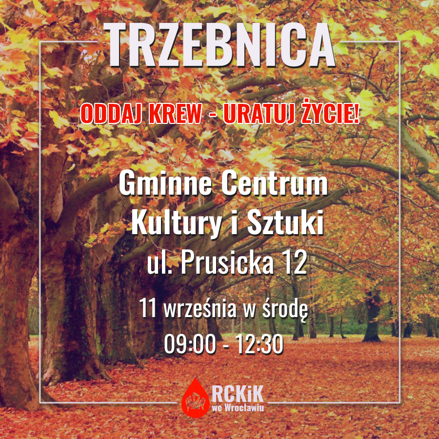Środowe akcje krwiodawstwa - 11.09.2023 r.