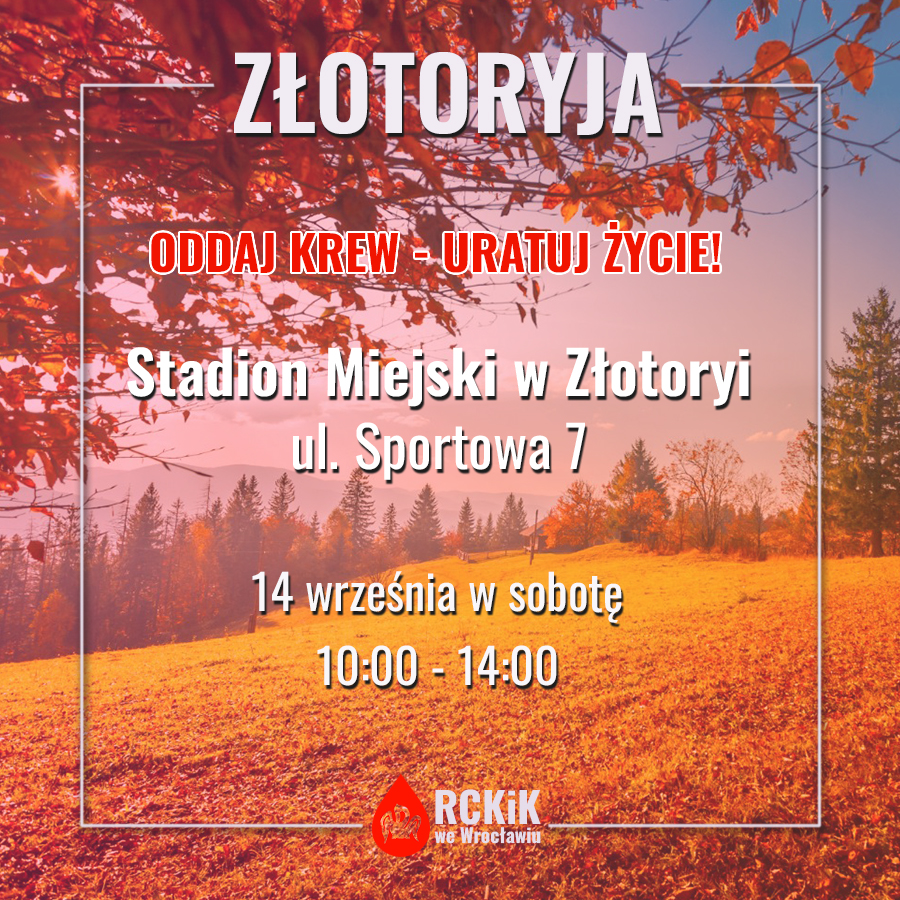 Weekendowa akcja w Złotoryi