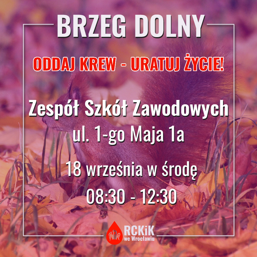 Zapraszamy na akcję do BRZEGU.  Akcja aktualna i widzimy się w środę.