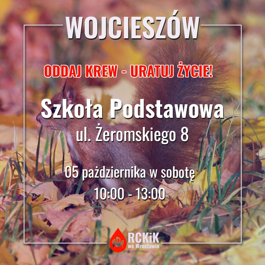 Wojcieszów - 05.10.2024 r.