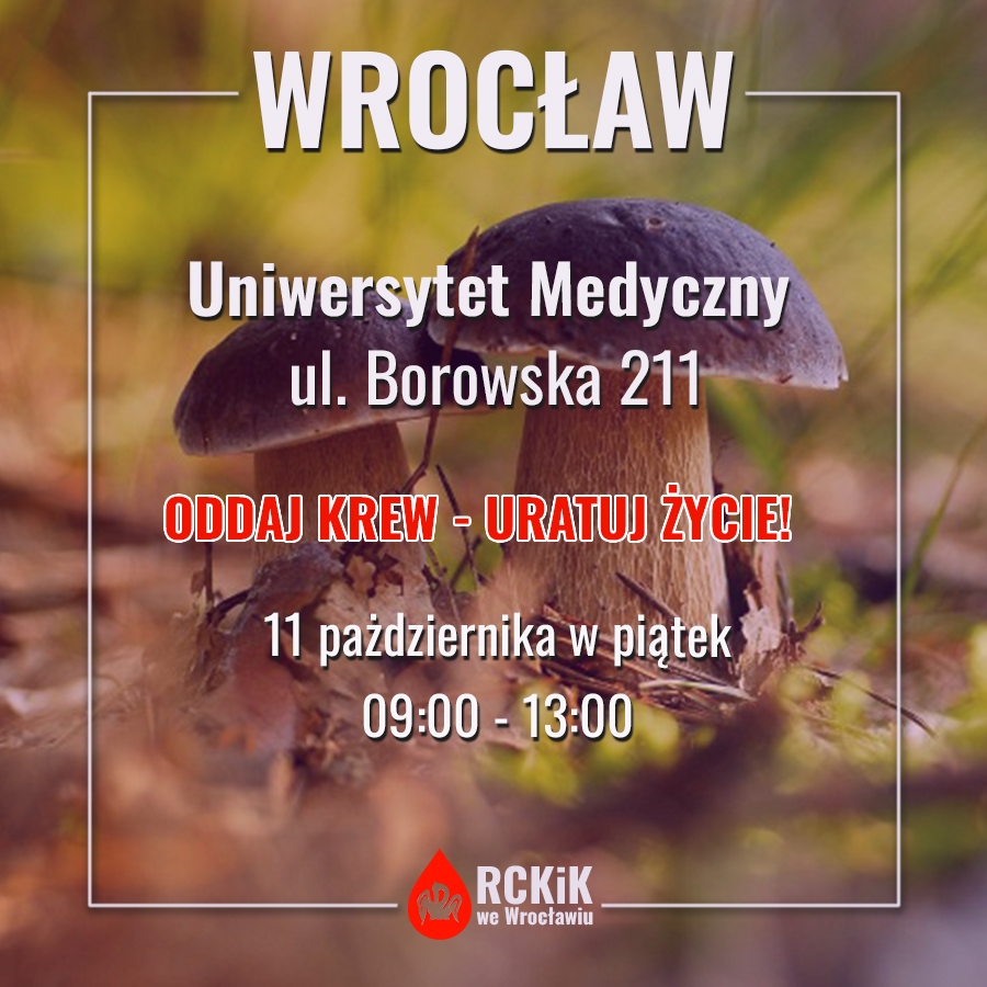 Akcja piątkowa