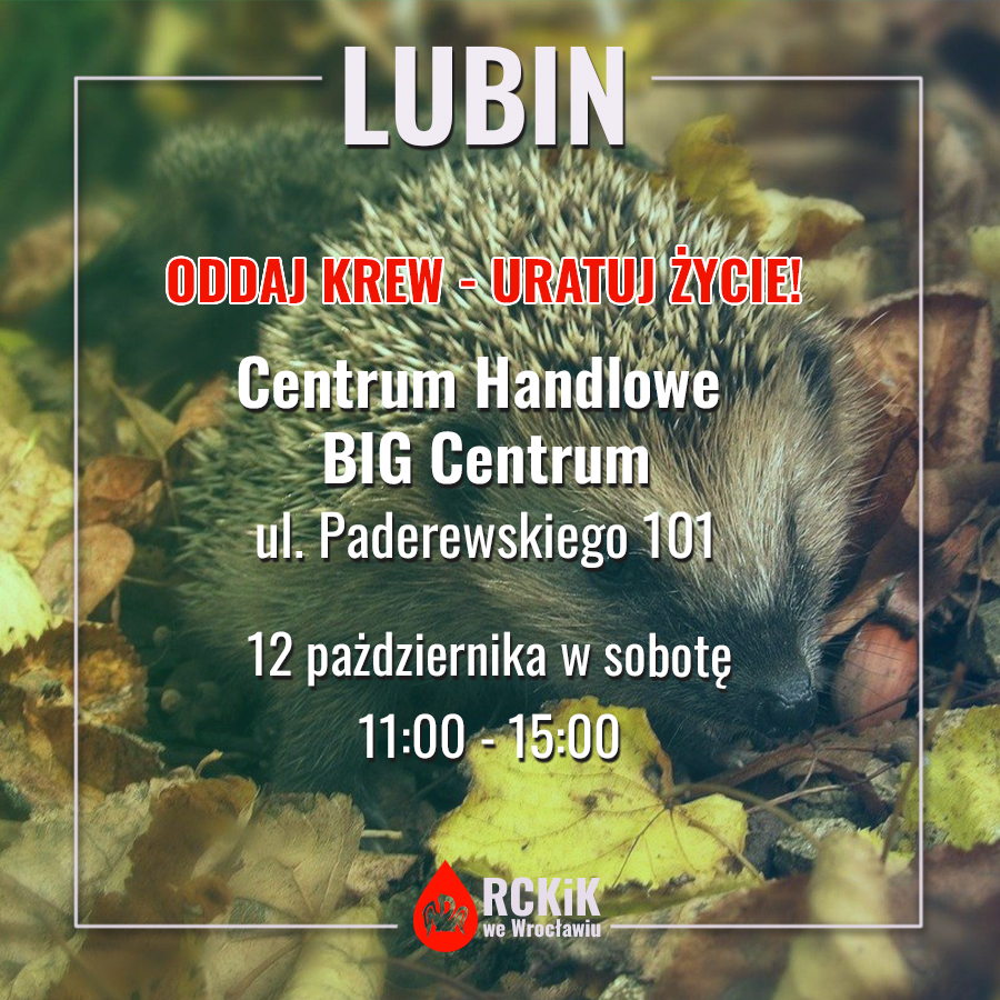 Akcja w Lubinie - 12.10.2024 r.