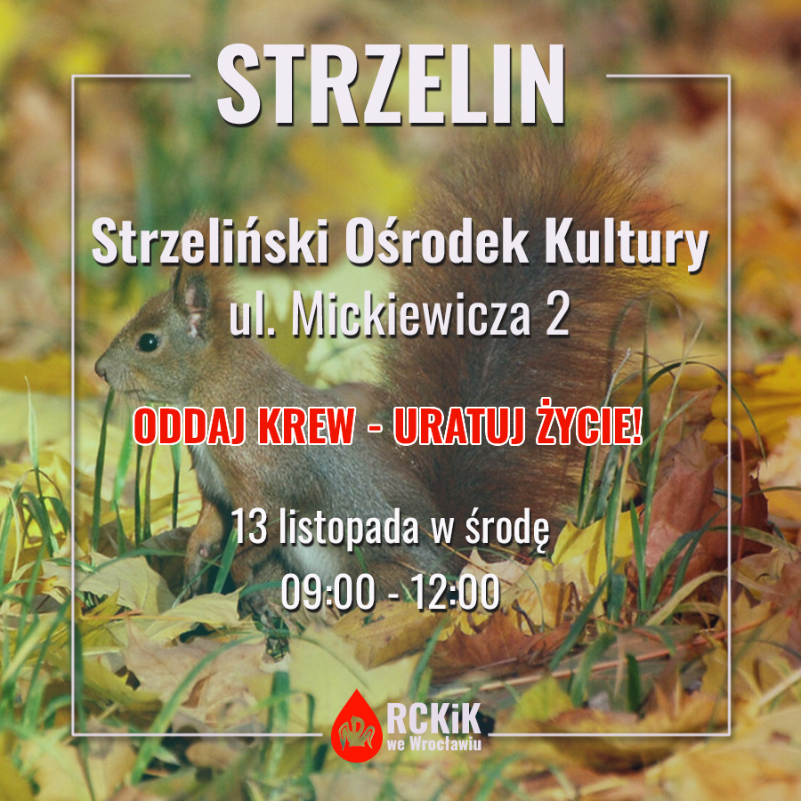 Akcja krwiodawstwa w Strzelinie - 13.11.2024 r.