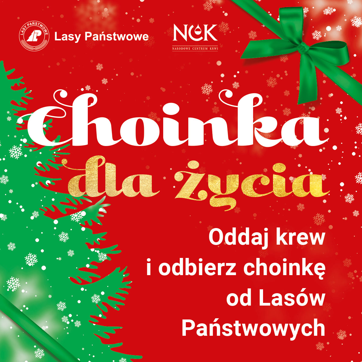 18 grudnia odbędzie się akcja  Choinka dla życia!