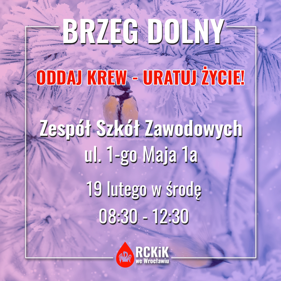Akcja krwiodawstwa w Brzegu Dolnym - 19.02.2025 r.