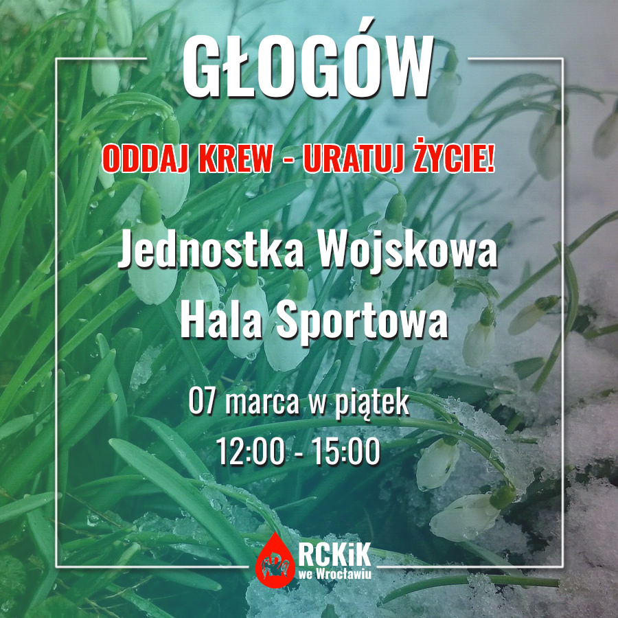 Piątkowe akcje - zapraszamy do Oleśnicy i Głogowa