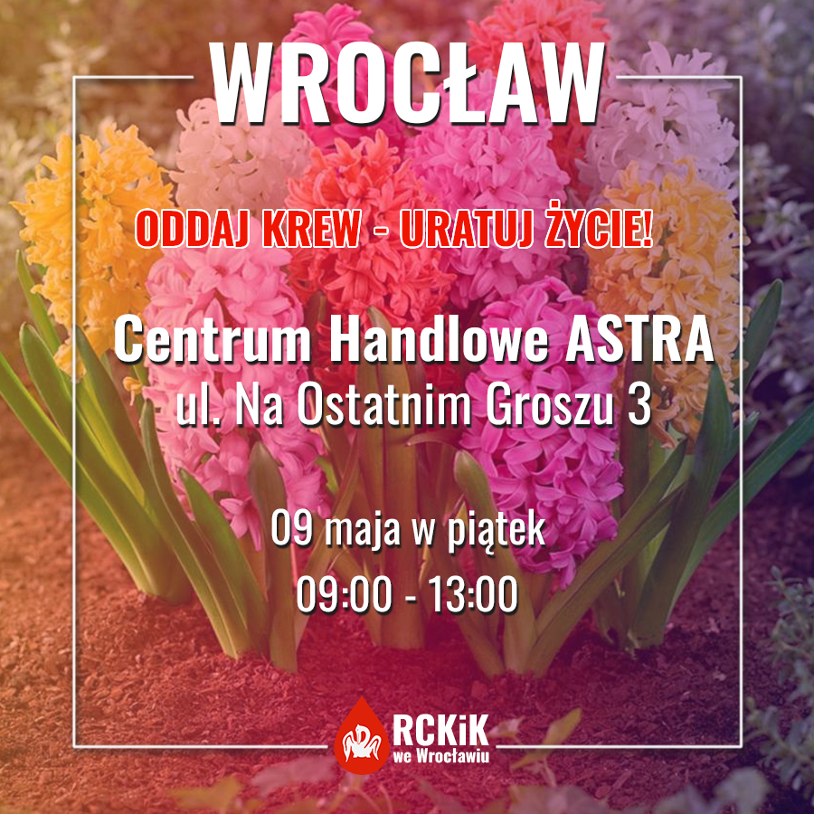 Piątkowa akcja wyjazdowa - 9.05.2025 r.