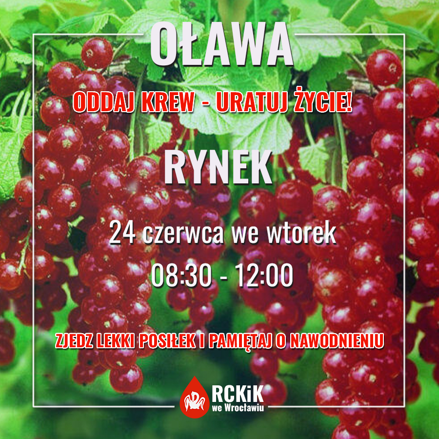 Akcja krwiodawstwa w Oławie - 24.06.2025 r.