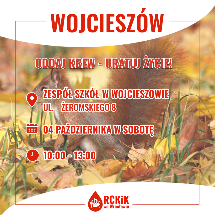 Sobotnia akcja w Wojcieszowie
