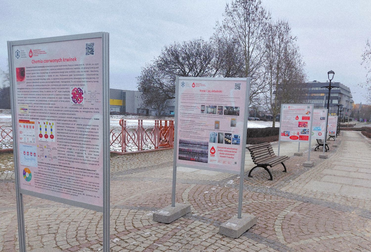 Wystawa "Laboratorium życia: krew w roli głównej" w Lubinie