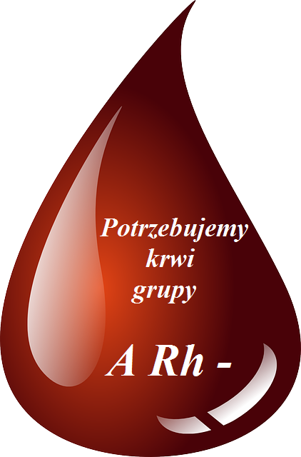 Apel