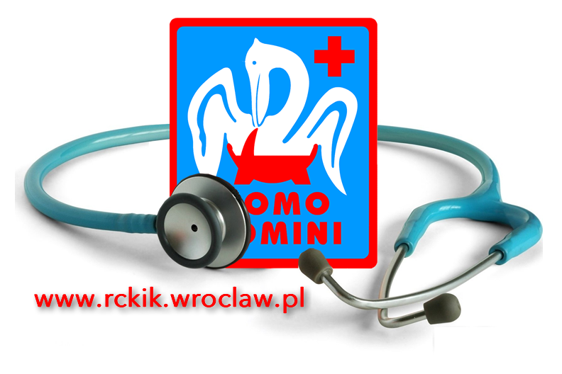 Szkolenie dotyczące nowelizacji ustawy o publicznej służbie krwi