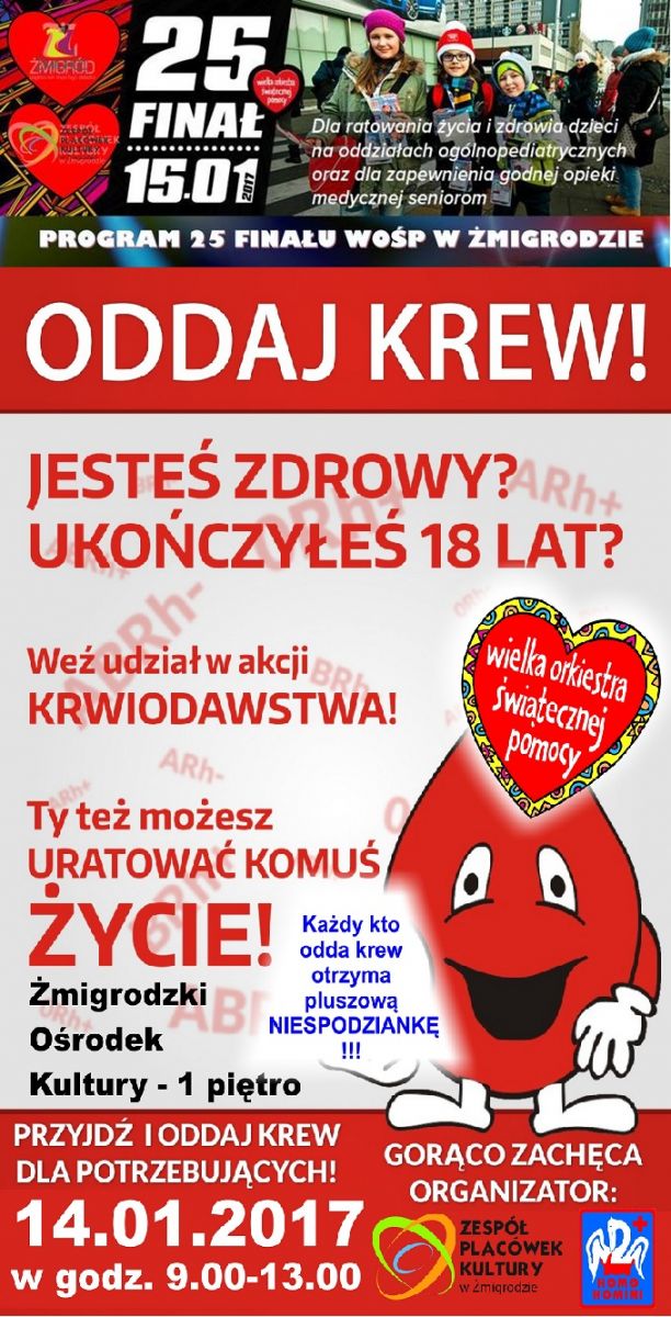 Żmigród - akcja poboru krwi przy WOŚP