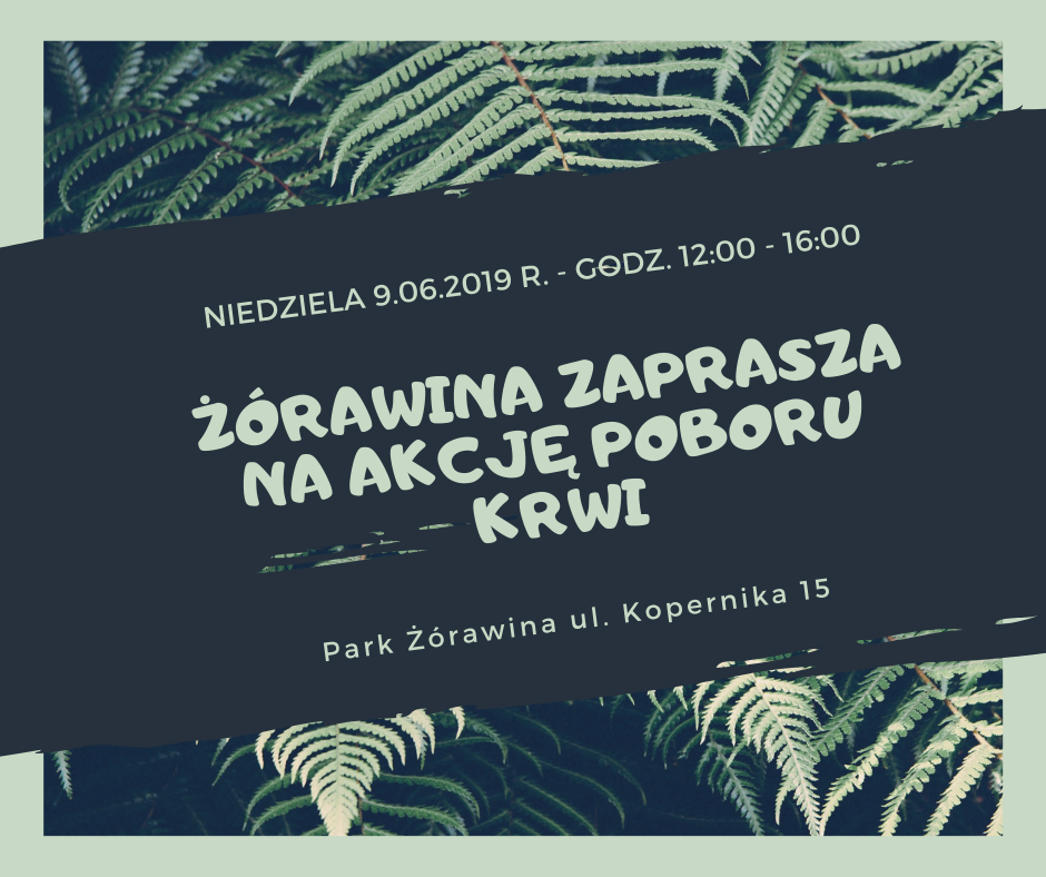 Akcja w Żórawinie