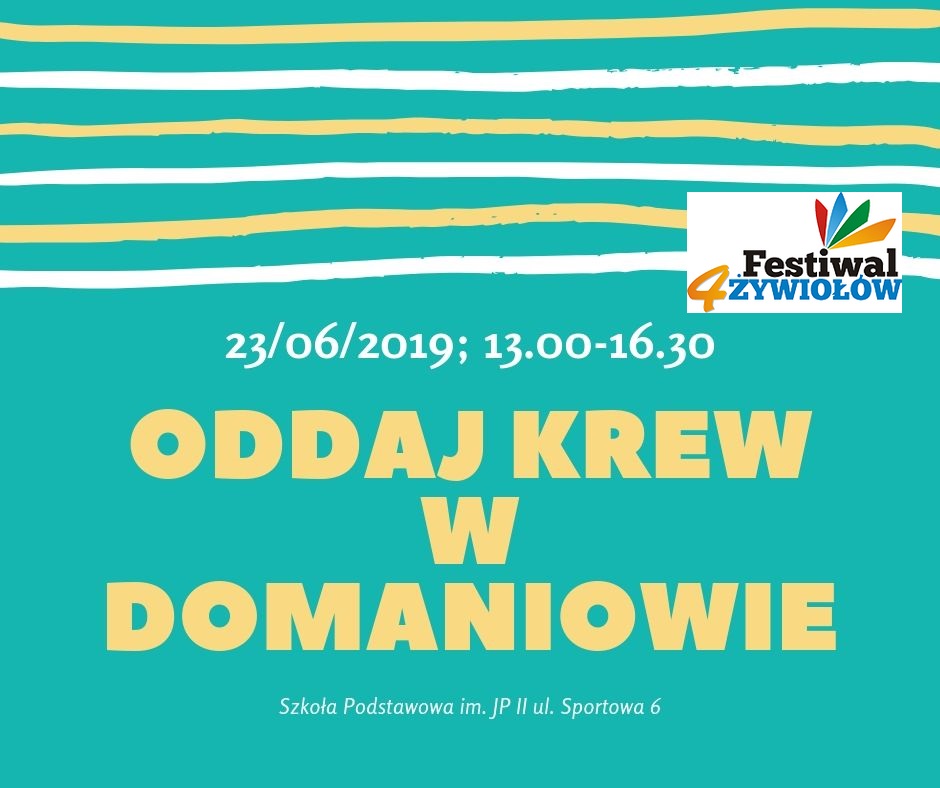 Festiwal 4 Żywiołów w Domaniowie - 23.06.2019 r.